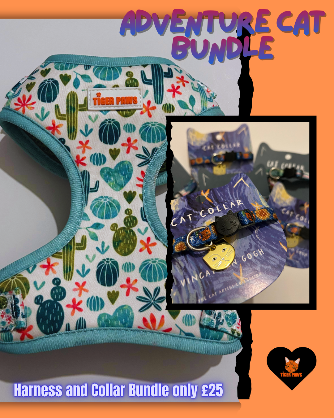 Adventure Cat Bundle